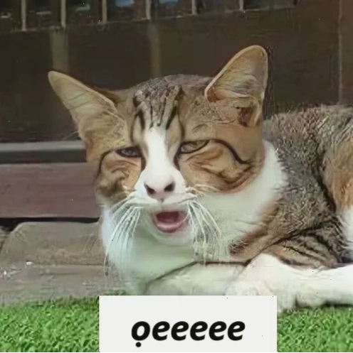 Meme ói máu vui nhộn