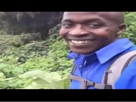 meme ok hài hước