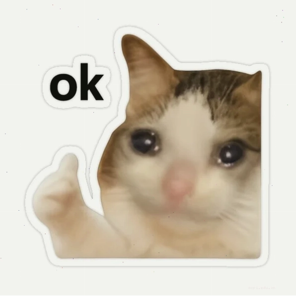 meme ok hài hước