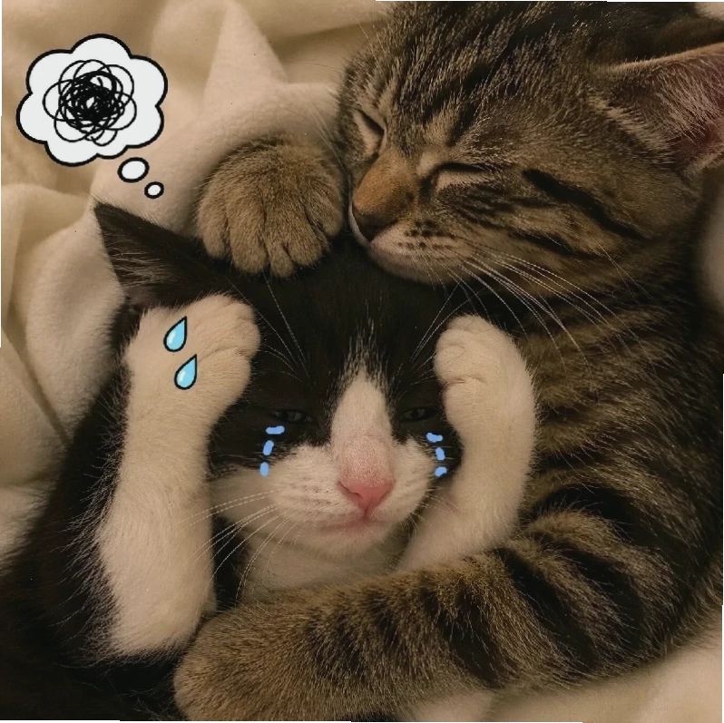 meme ôm đầu