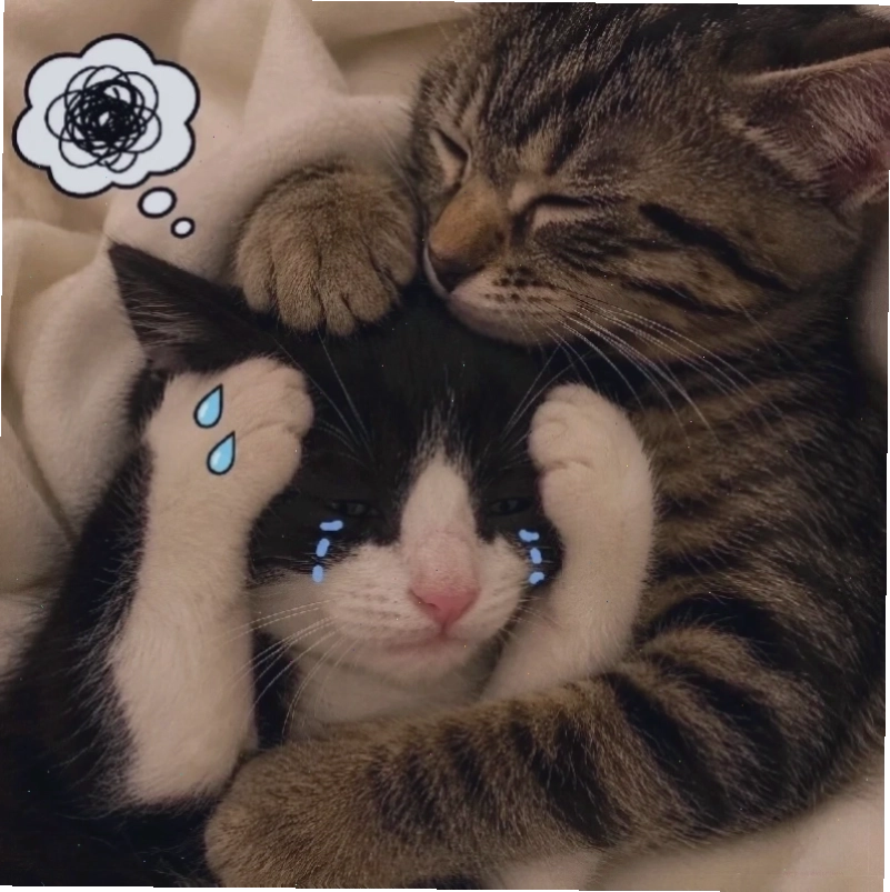 meme ôm đầu