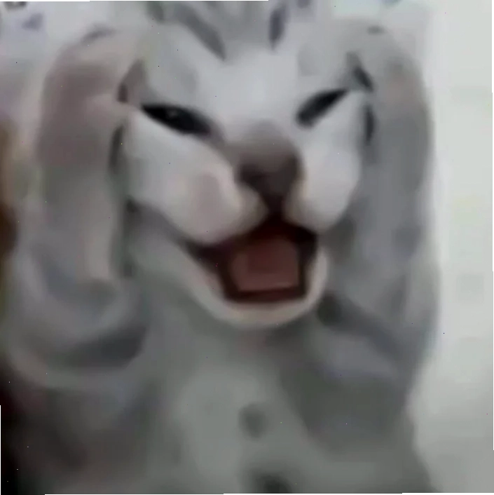 meme ôm đầu