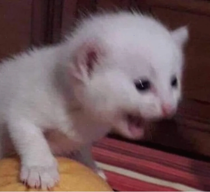 meme ôm đầu