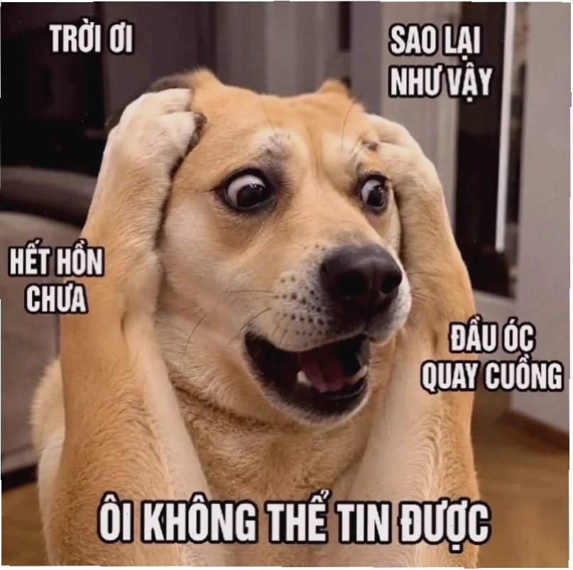 meme ôm đầu