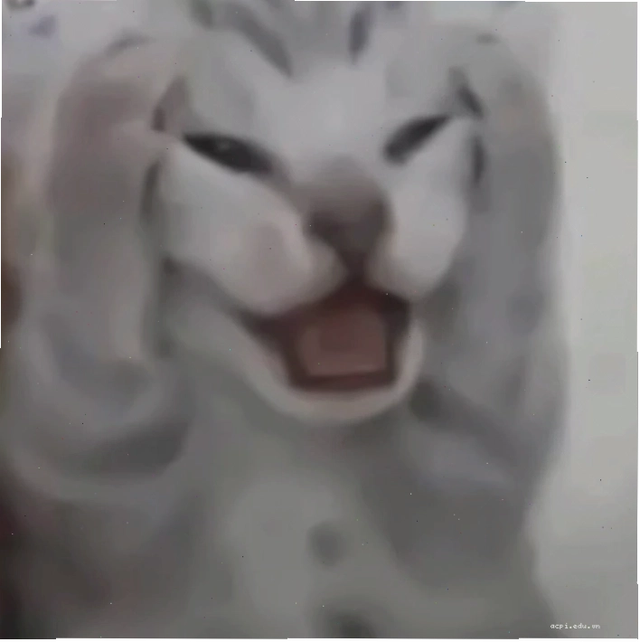 meme ôm đầu