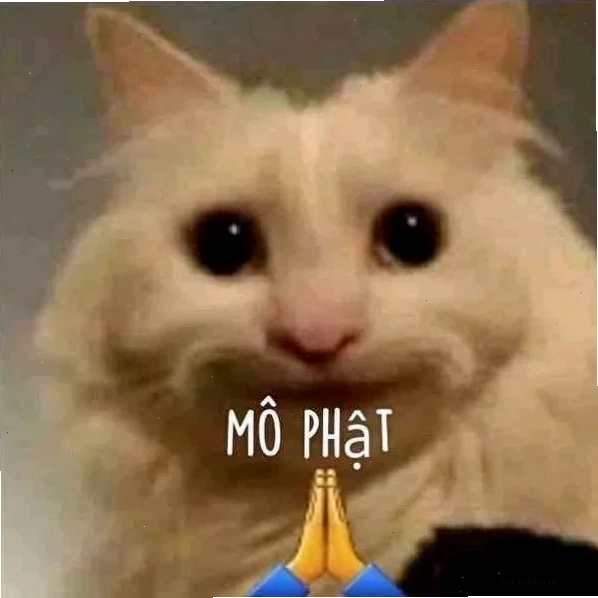 meme ôm đầu