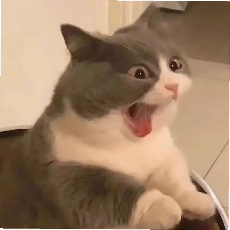 meme ôm đầu