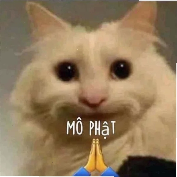 meme ôm đầu