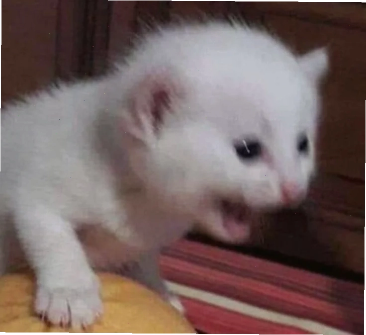 meme ôm đầu
