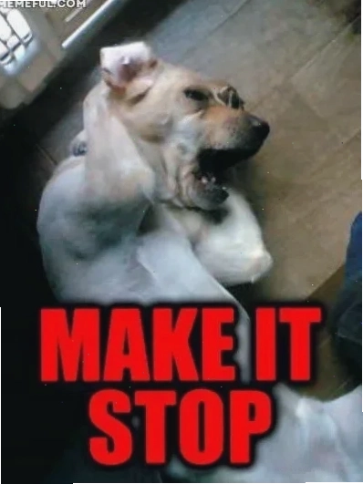 meme ôm đầu