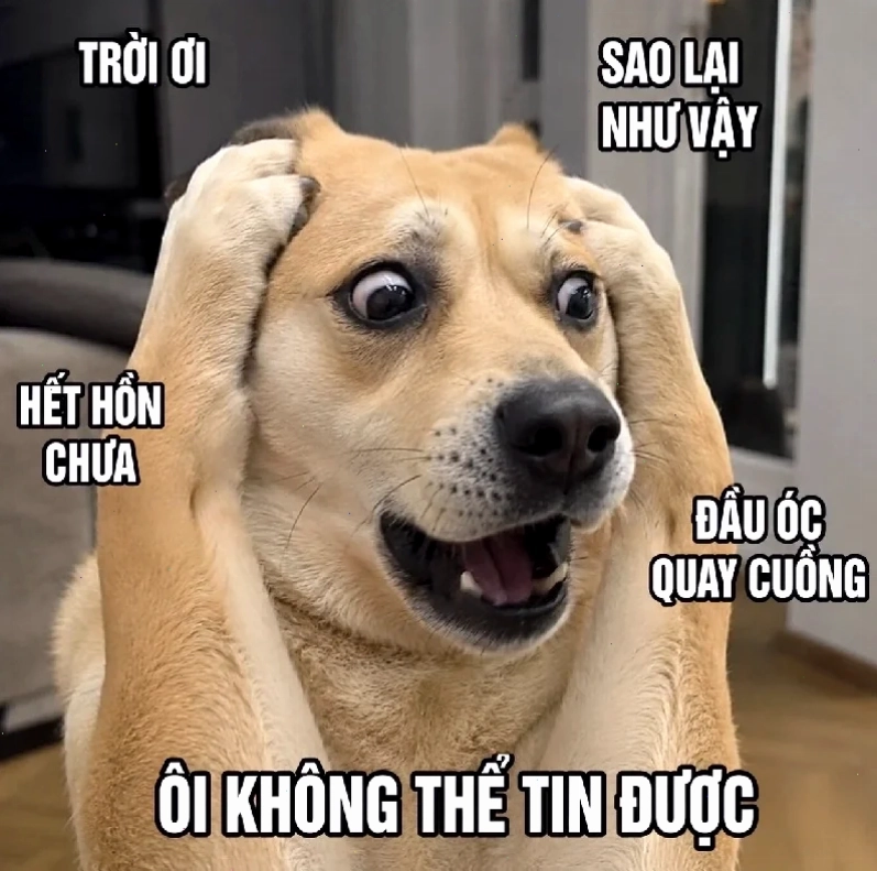 meme ôm đầu