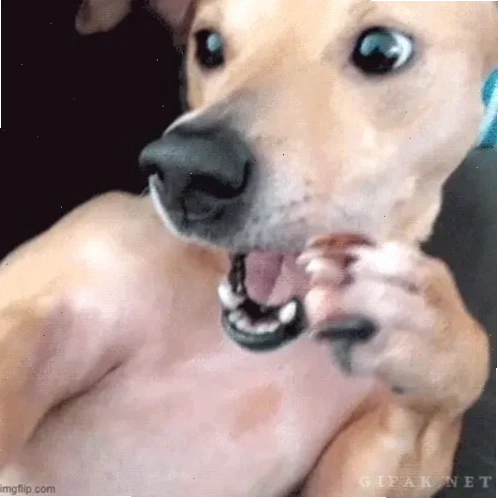 meme ôm đầu