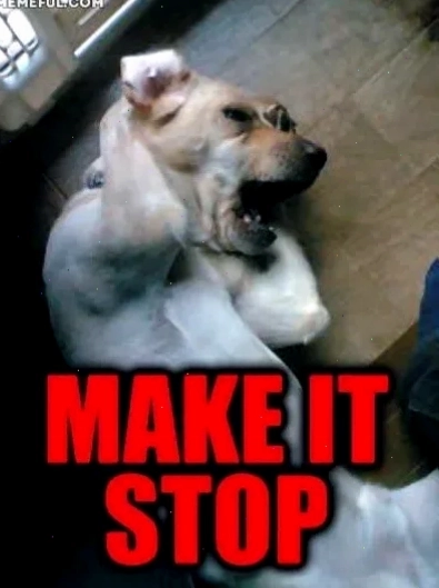 meme ôm đầu