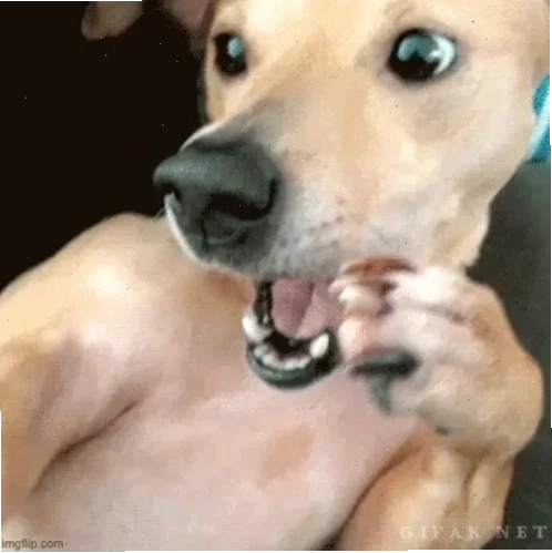 meme ôm đầu