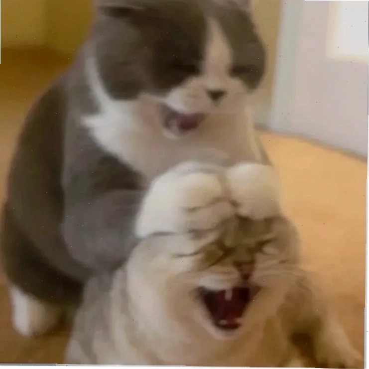 meme ôm nhau an ủi