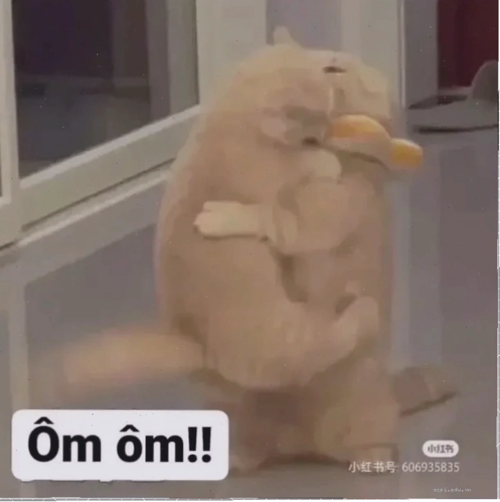 meme ôm nhau hài hước