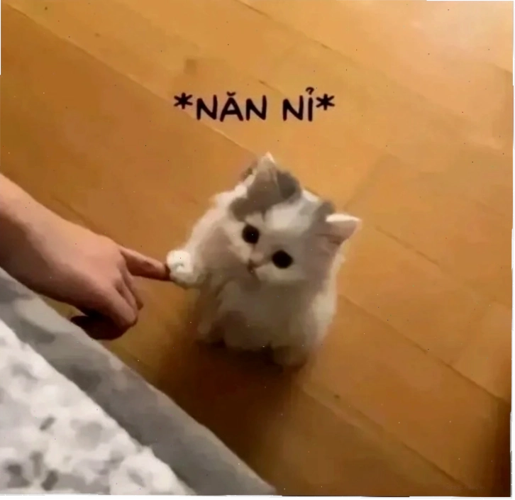 meme ôm nhau sẻ chia