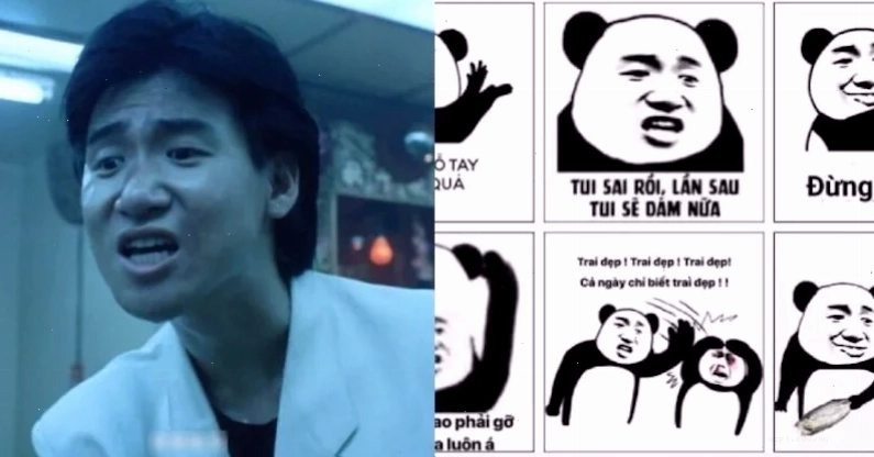 meme panda trung quốc bất ngờ