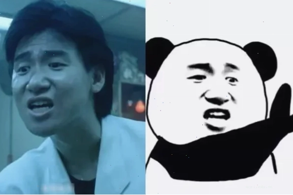 meme panda trung quốc đâm cây măng