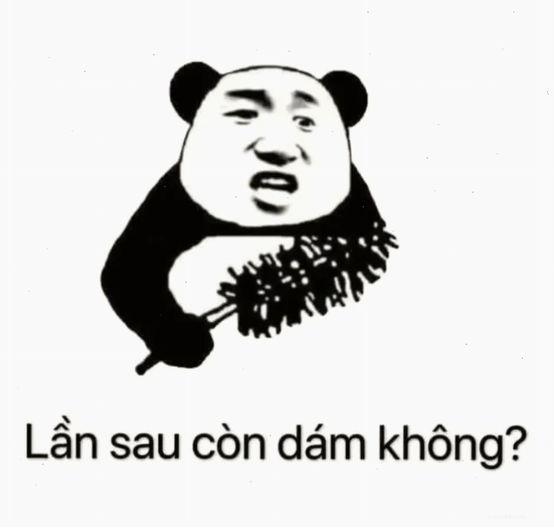 meme panda trung quốc đần độn