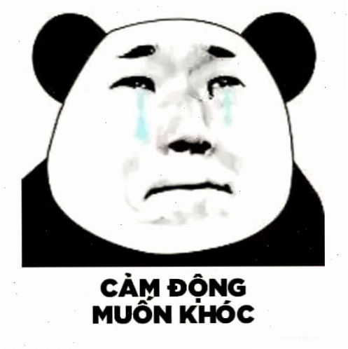 meme panda trung quốc Đường Tăng