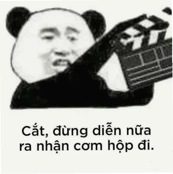 meme panda trung quốc ngại ngùng