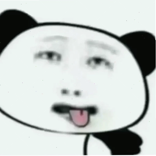 meme panda trung quốc nghiêm túc