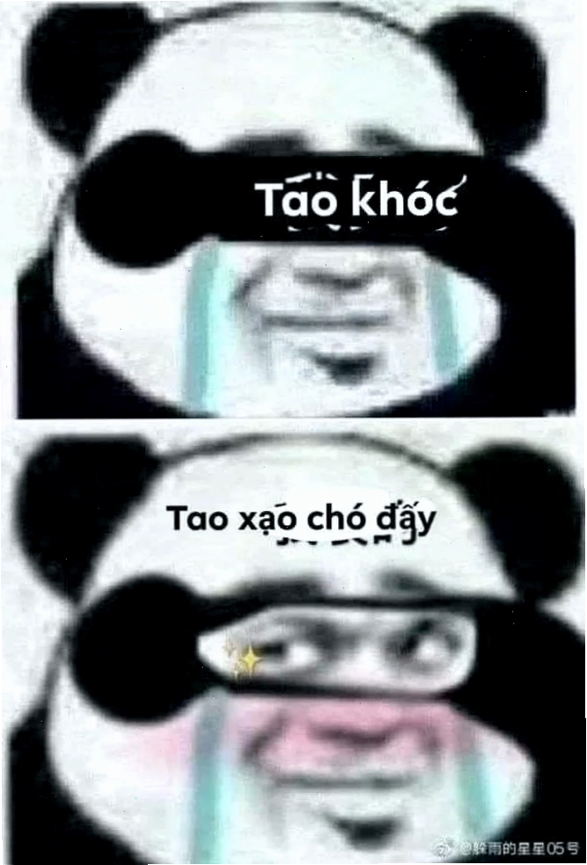 meme panda trung quốc từ chối