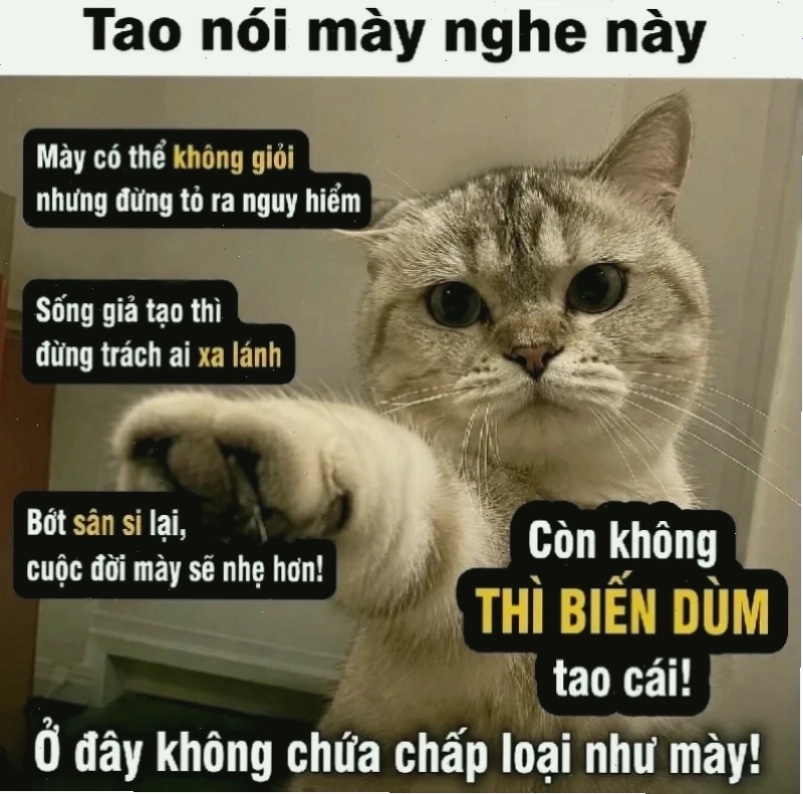 meme phản dame