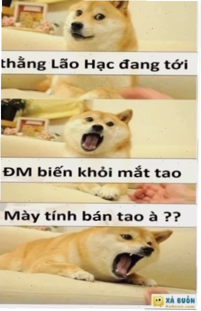 meme phản dame