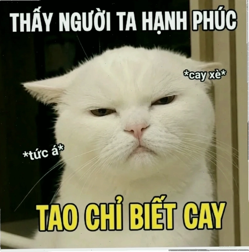 meme phản dame
