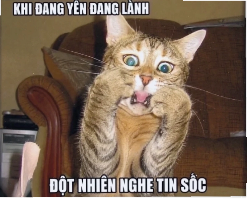 meme phản dame