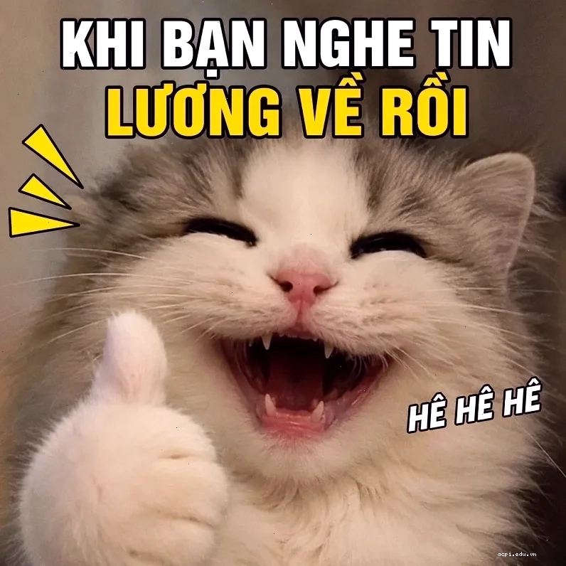 meme phấn đấu lạ