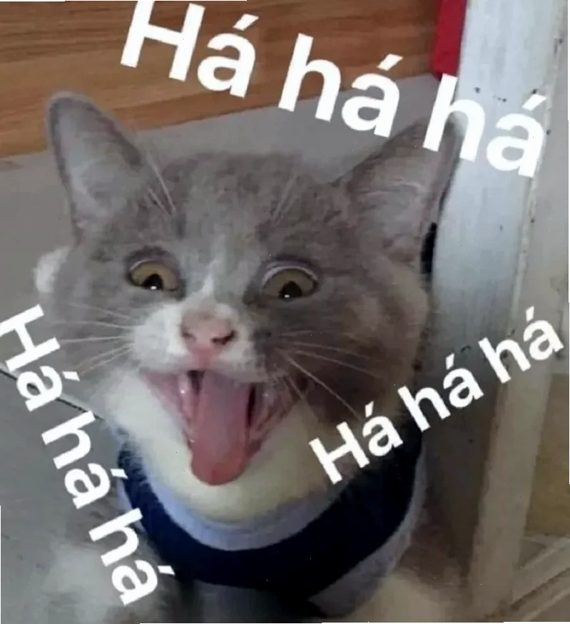 meme phấn khích ngộ nghĩnh