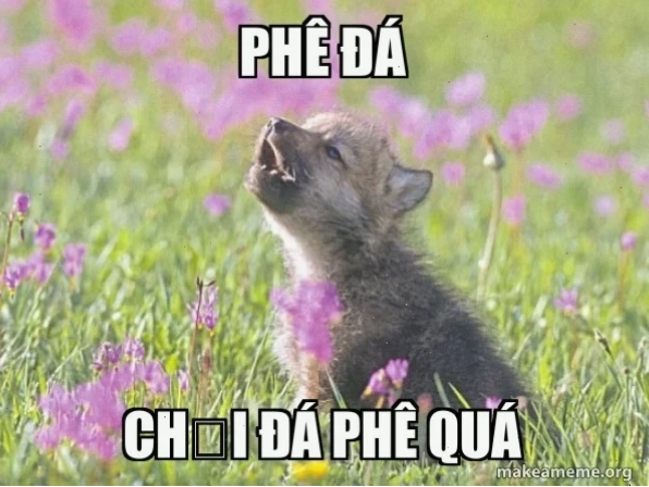 meme phê cỏ cực gắt