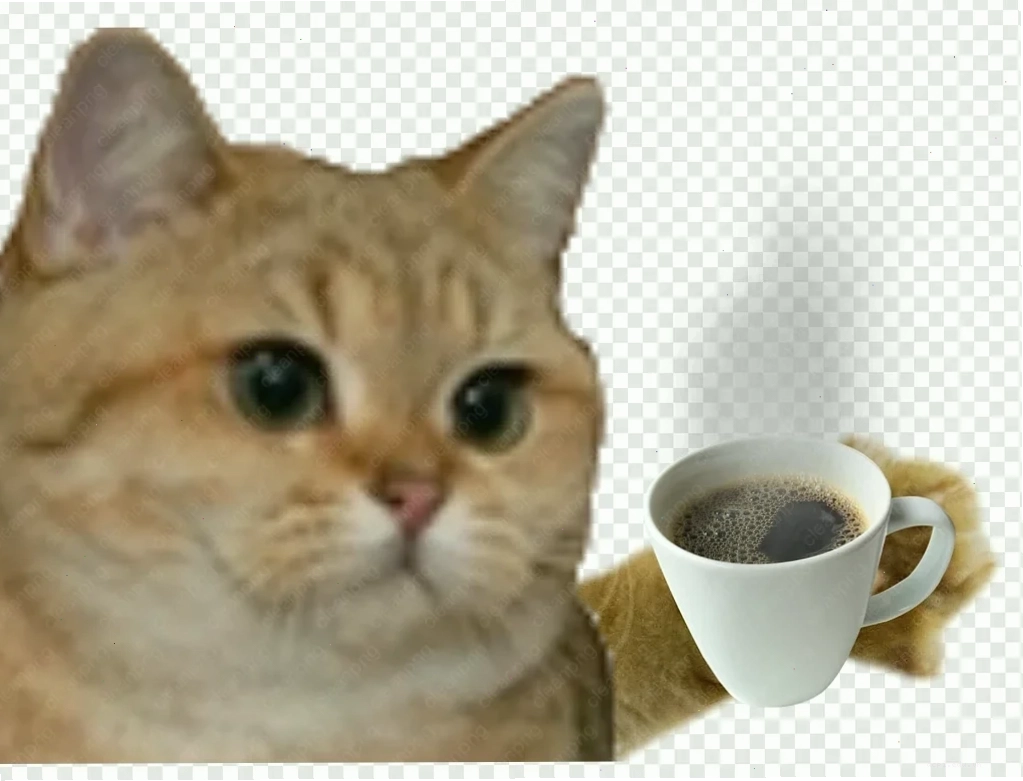 meme phê độc lạ