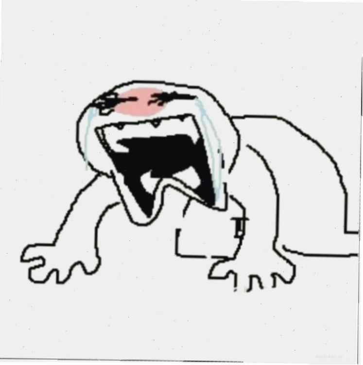 meme quỳ lạy cute