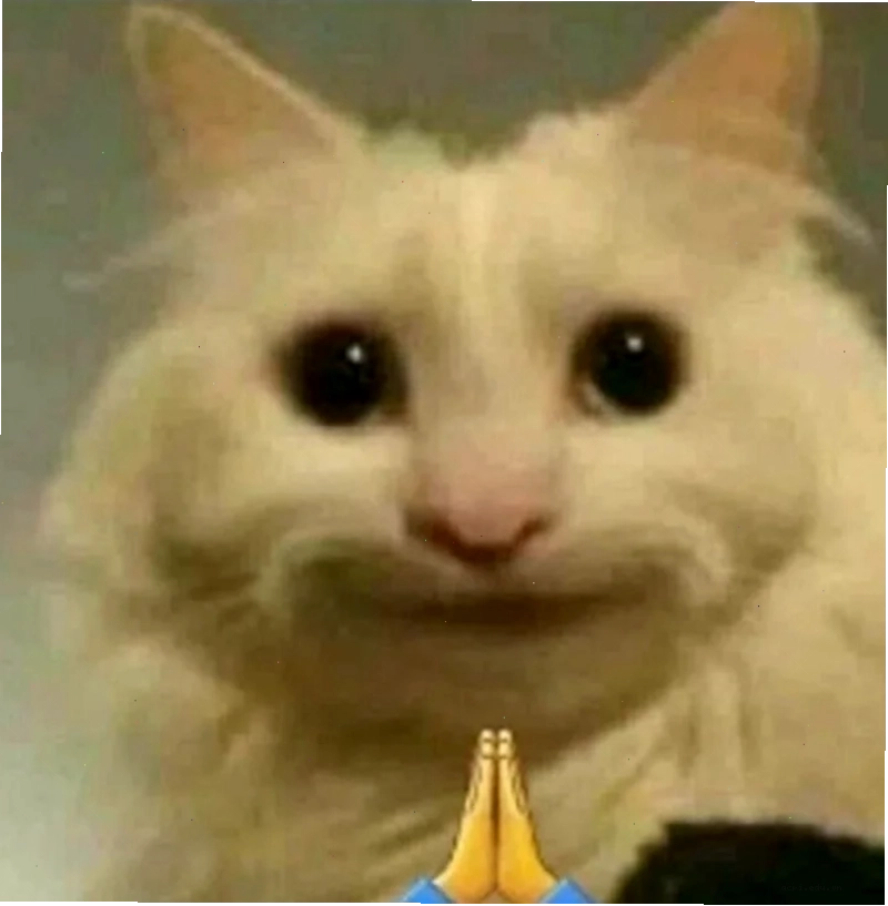 meme quỳ lạy tha thiết