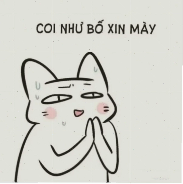 meme quỳ lạy troll