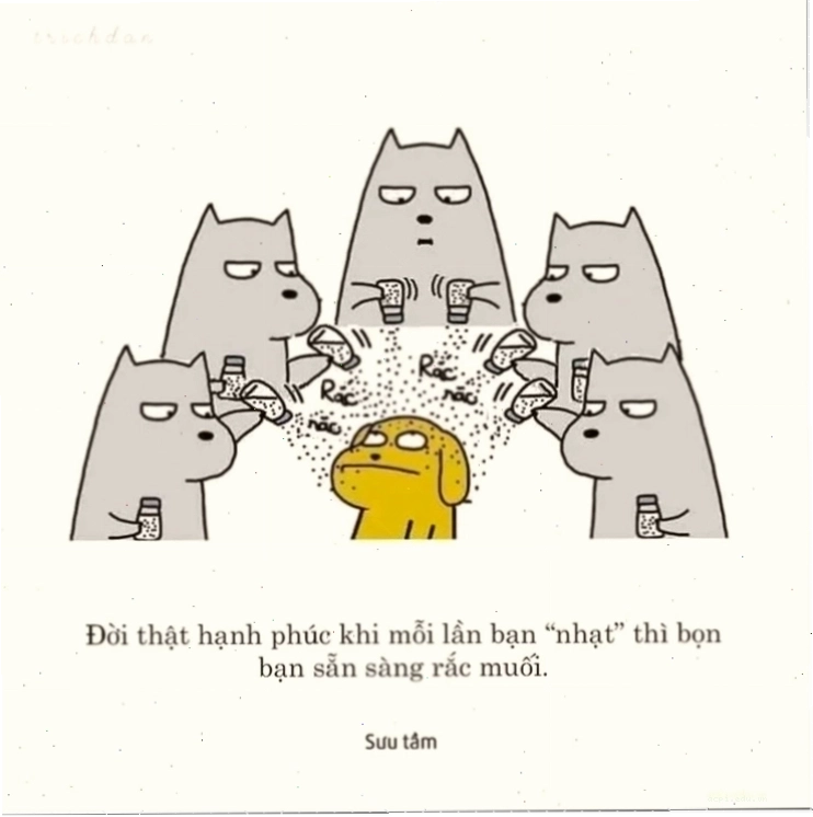 Hình 15 meme rắc muối 15