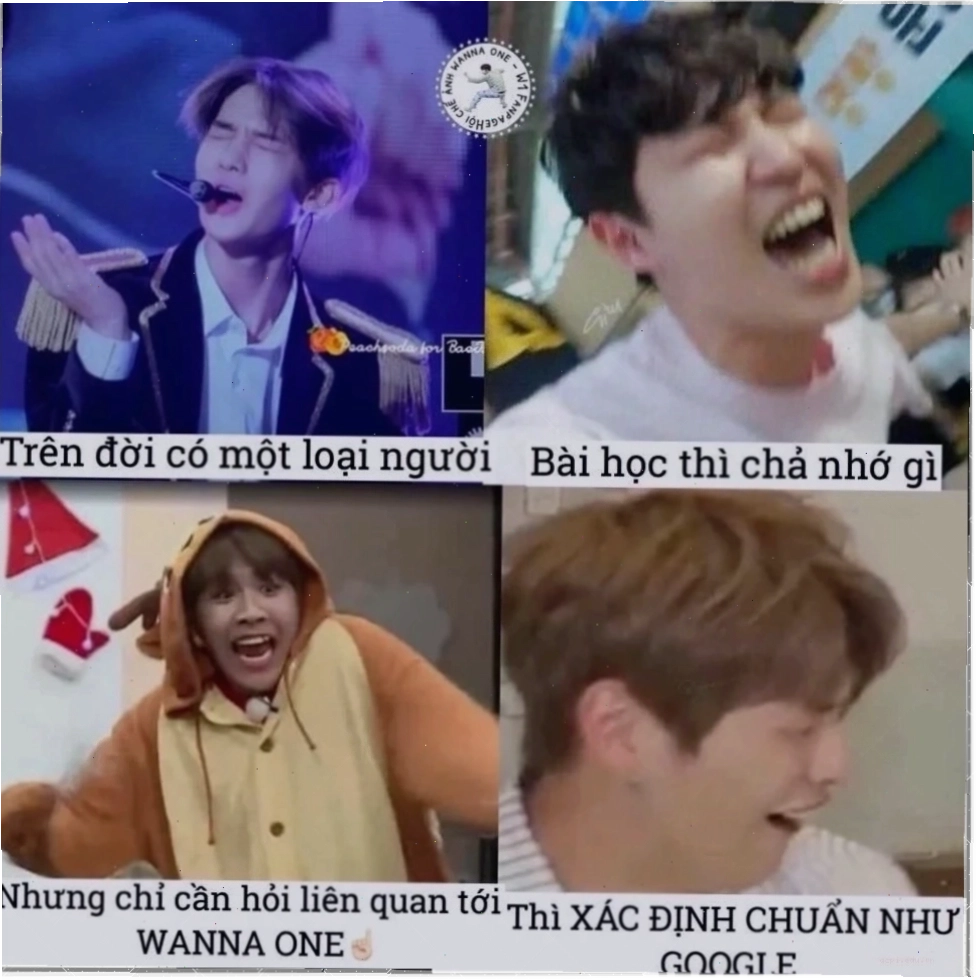 Hình 28 meme rắc muối 28