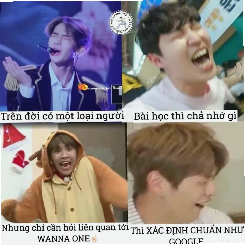 meme rắc muối 28