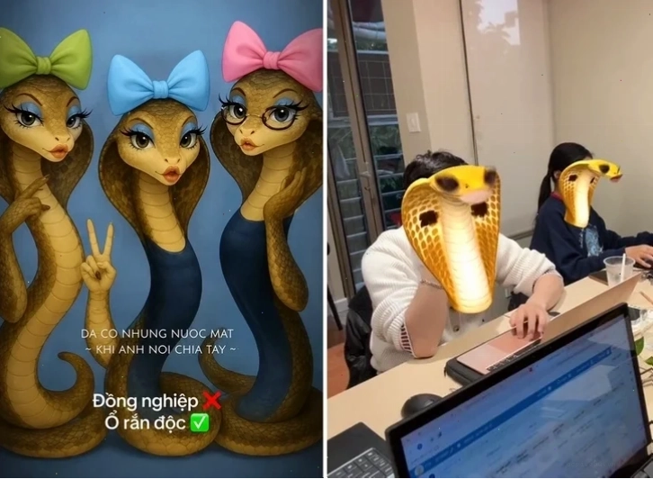 meme rắn độc