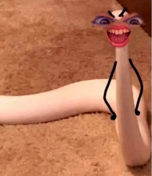 meme rắn hai tay