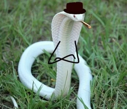 meme rắn lục ngáo