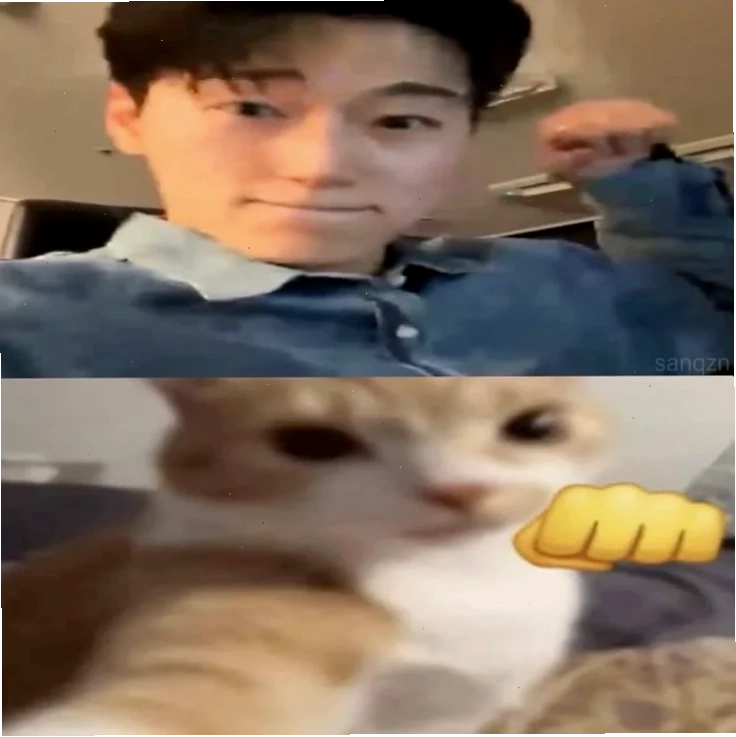 meme san vui nhộn meme san hài hước