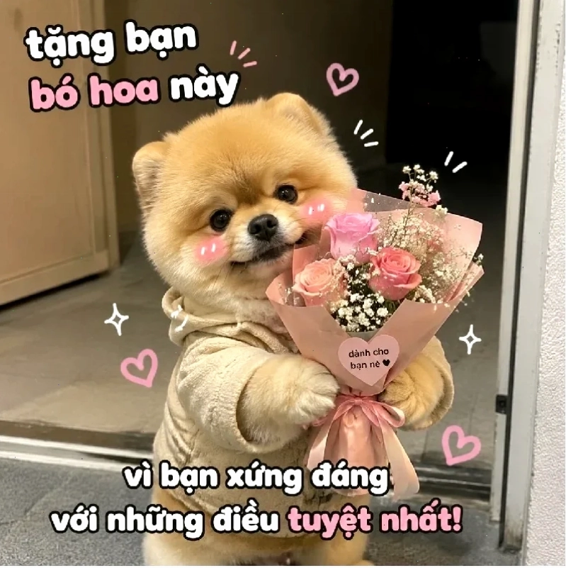 Meme sáng tạo