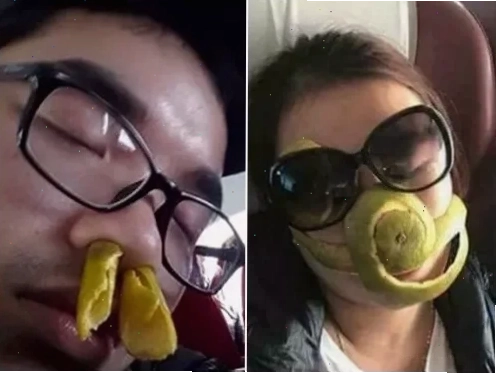 meme say xe bá đạo