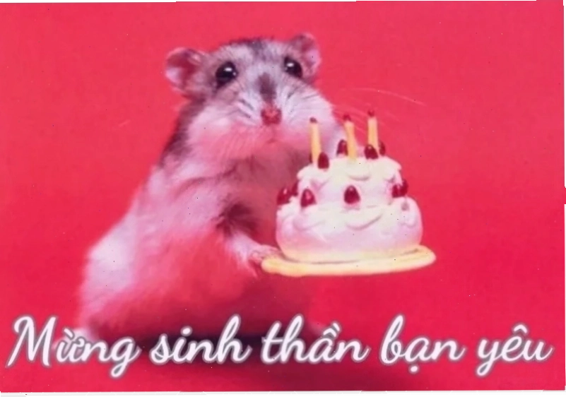 meme sinh nhật bựa