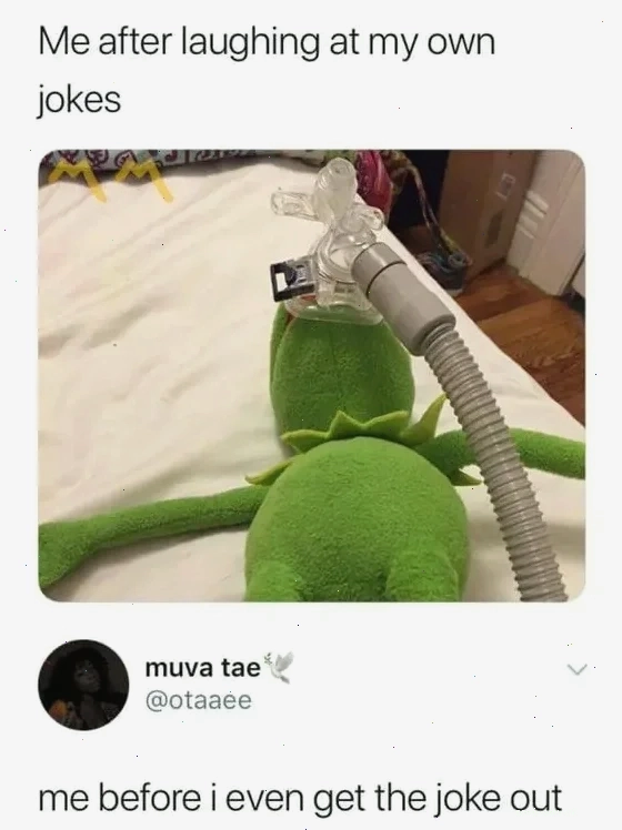 Meme sóc